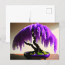 Recherche de bonsaïs cartes postales Contenu générationnel