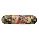 Recherche de chien skateboards Patin
