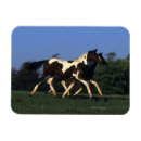 Recherche de pour fonctionner même magnets Fonctionnement