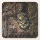 Suche nach bangkok untersetzer Wald