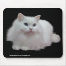 Recherche de pelucheux tapis souris Chat