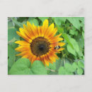 Recherche de bourdons cartes postales Abeille