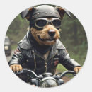 Suche nach riding aufkleber Niedlich