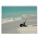 Suche nach muscheln kalender Sonnenuntergang