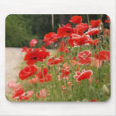 Suche nach rote mohnblumen mousepads Natur