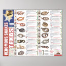 Suche nach schlangen poster Giftig