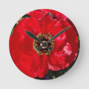 Recherche de coquelicots horloges Pavot