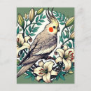Recherche de cockatiel cartes postales Oiseau