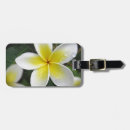 Suche nach frangipani gepäckanhänger Blume