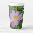 Recherche de lotus tasses Nature