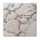 Recherche de coquille de feston Mer