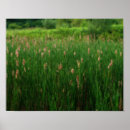 Recherche de matelas art Nature
