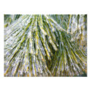 Recherche de hiver abstrait art Vert