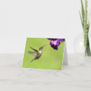 Recherche de throated vœux cartes Rubis