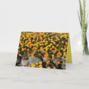 Suche nach mexikanische karten Blume