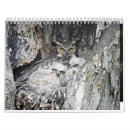 Suche nach verschieden kalender Natur