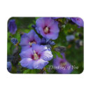 Recherche de macro de fleur maison deco Floral