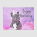 Recherche de frenchie mignon Drôle