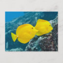 Suche nach tanger postkarten Natur