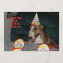 Recherche de bull invitations Chien