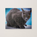 Suche nach russisches blau puzzle Russisch blau katze