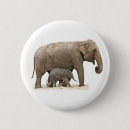 Recherche de éléphant de bébé badges Faune