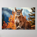 Recherche de puma posters Pomme