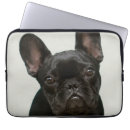 Suche nach bulldogge laptop schutzhüllen Welpe