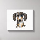 Recherche de merle mignon Dog