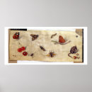 Suche nach insectes poster Marine