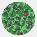 Recherche de arbustes autocollants Plante