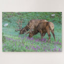 Suche nach rocky mountain national park puzzle Gegner