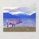 Recherche de wapiti cartes postales Nature