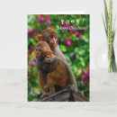 Recherche de singe chinois vœux cartes Unique