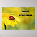 Suche nach fluss des lebens poster Natur