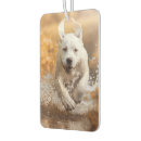 Recherche de labrador voiture accessoires Animal