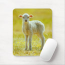 Suche nach wolle mousepads Schaf