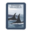 Suche nach alaska magnete Orca
