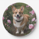Suche nach corgi party teller Korgi