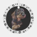 Recherche de chiots ornements Pour animaux
