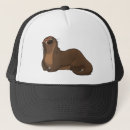 Recherche de loutre casquettes Animaux
