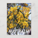 Suche nach australische blume postkarten Australien