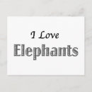 Suche nach elefant liebe postkarten Elefanten