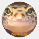 Recherche de geckos autocollants Nature