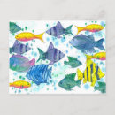 Recherche de poissons tropicaux cartes postales Poisson tropical