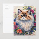 Suche nach persian cat postkarten Tier