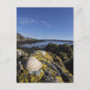 Recherche de vous roche cartes postales Côte