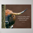 Suche nach longhorn poster Texas