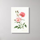 Suche nach französisch leinwandbilder Rosa