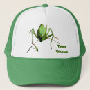 Recherche de sauterelles casquettes Vert